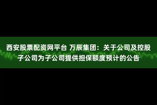 西安股票配资网平台 万辰集团：关于公司及控股子公司为子公司提供担保额度预计的公告